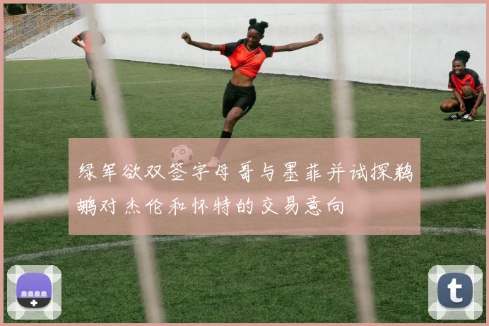 绿军欲双签字母哥与墨菲并试探鹈鹕对杰伦和怀特的交易意向