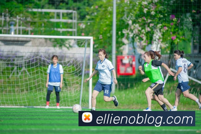 未来规划